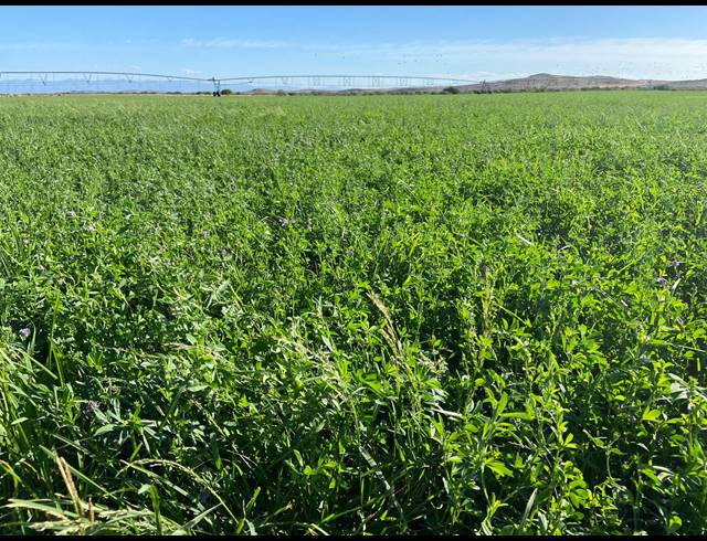 4,642HA FARM FOR SALE IN LEEU GAMKA